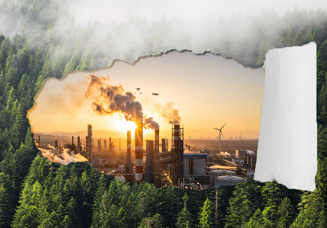 Greenwashing
